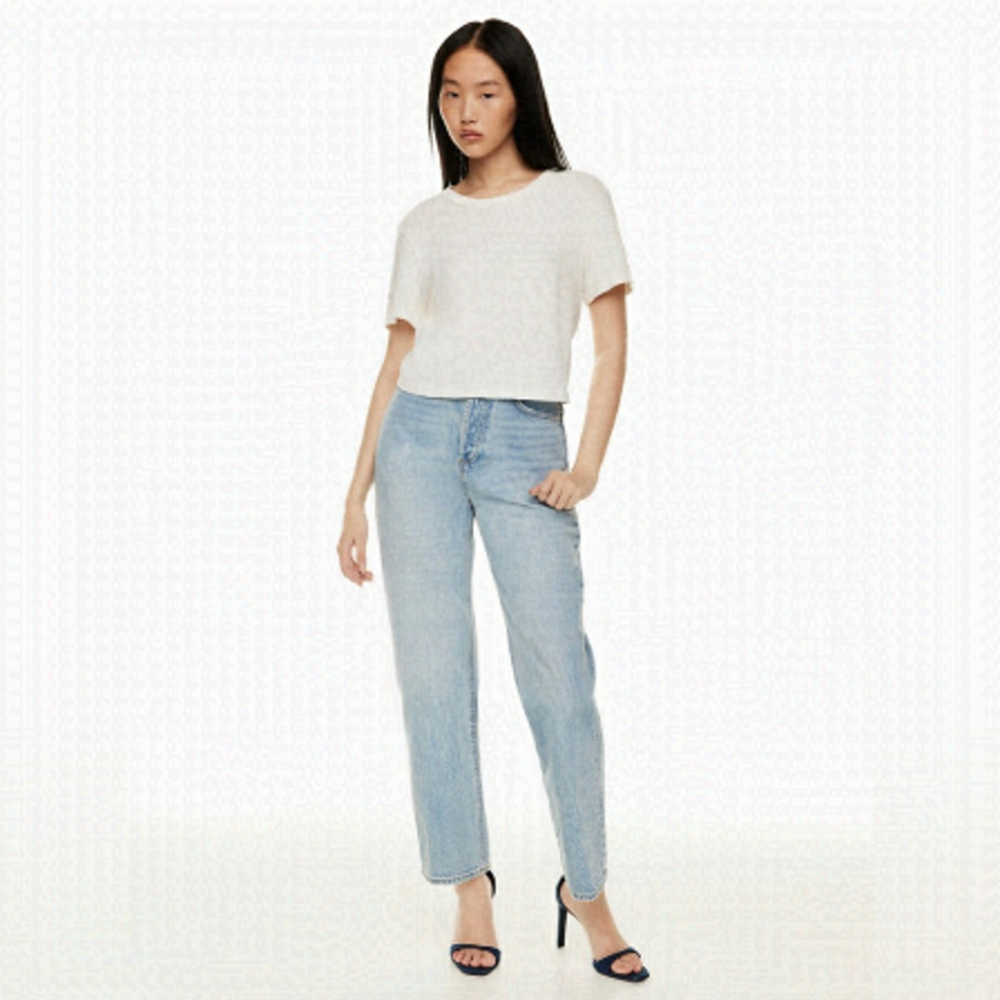 Aritzia Denim Forum The Joni High Rise Loose 29L